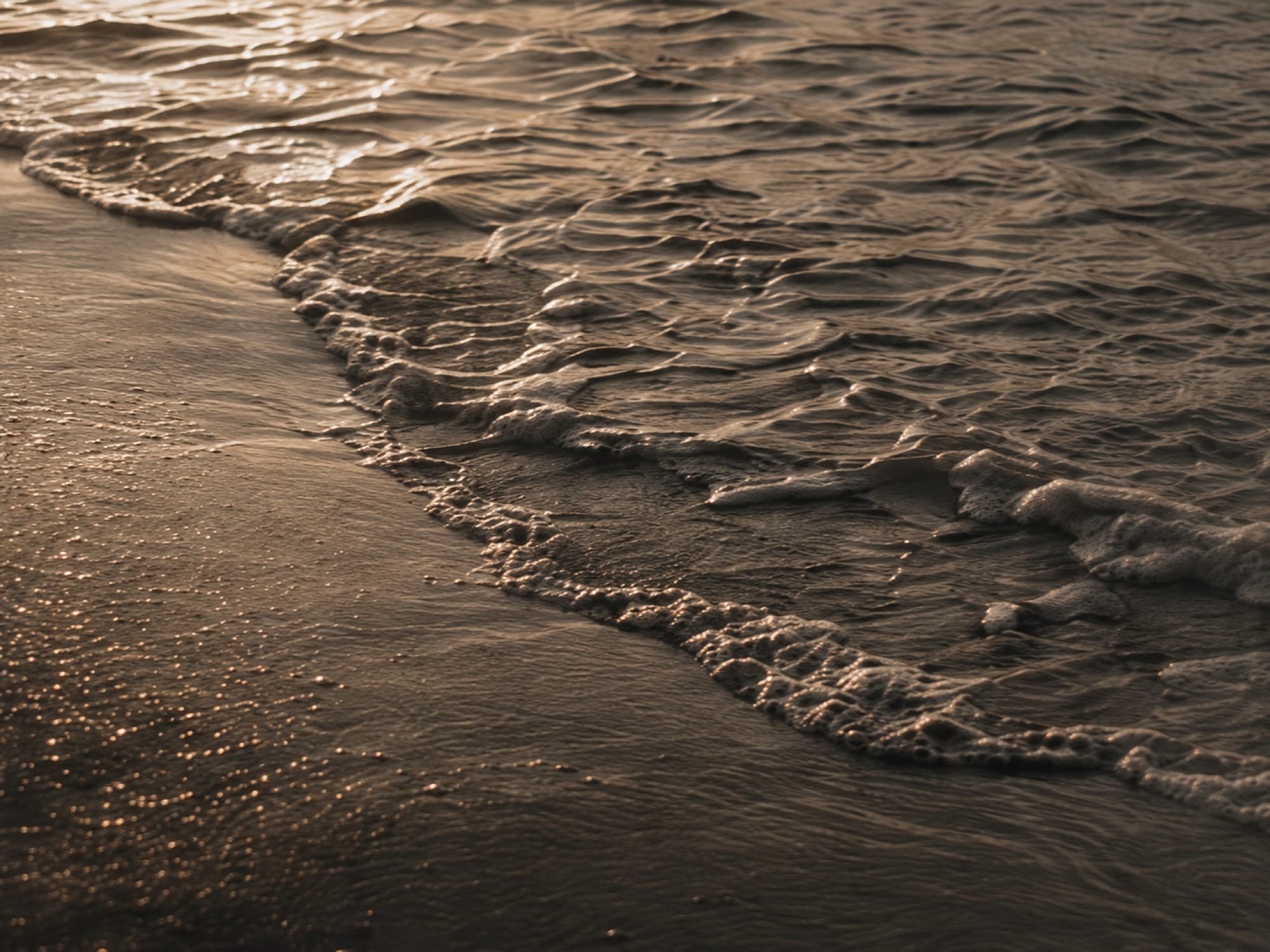 Shallow waves and foam moving over wet sand.